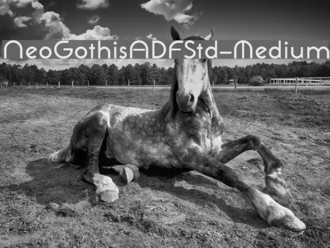 NeoGothisADFStd-Medium Fonte examples