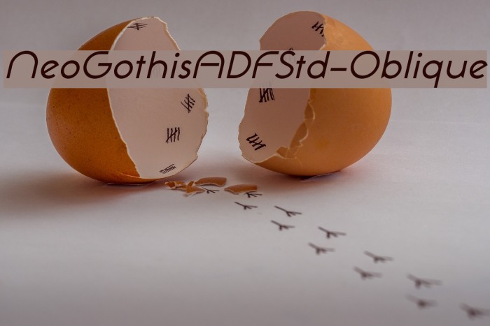 NeoGothisADFStd-Oblique Font examples