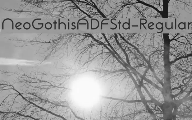NeoGothisADFStd-Regular Font examples