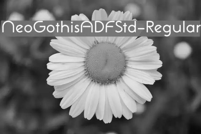 NeoGothisADFStd-Regular Font examples