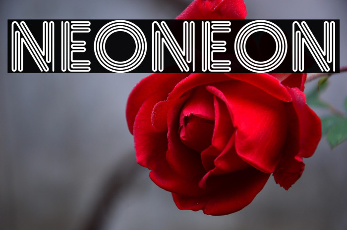 NeoNeon Example 2