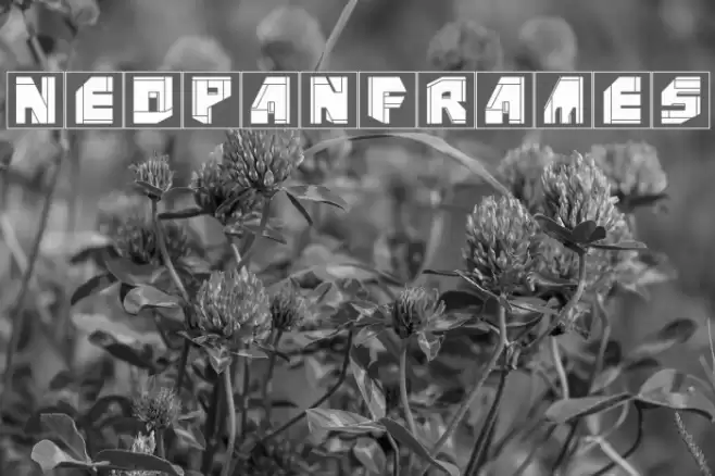 NeoPanFrames Polices examples
