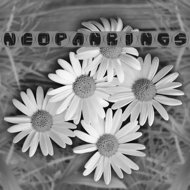 NeoPanRings Font examples