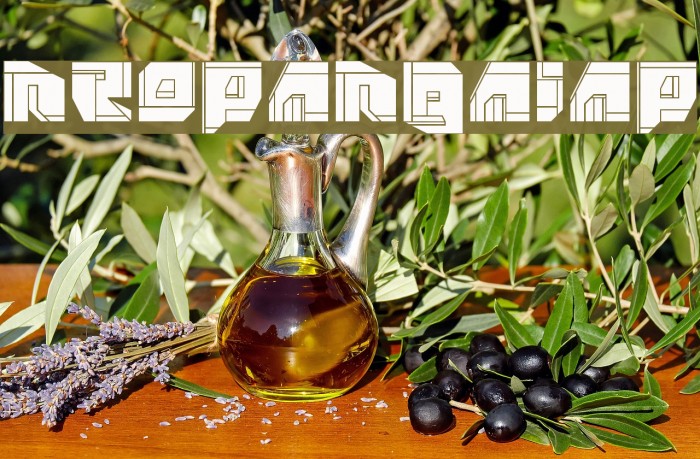 NeoPangaia[p2] Example 3