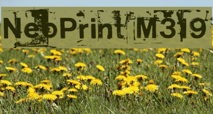 NeoPrint M319 Example 3