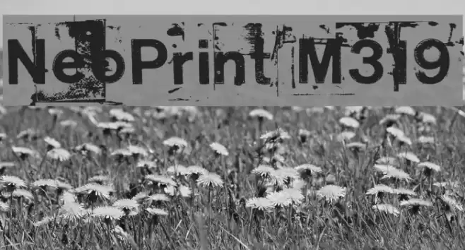 NeoPrint M319 Font examples