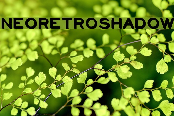 NeoRetroShadow Font examples