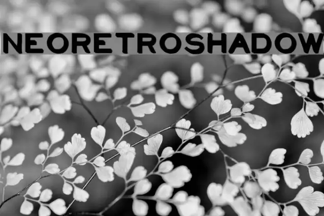 NeoRetroShadow Example 1