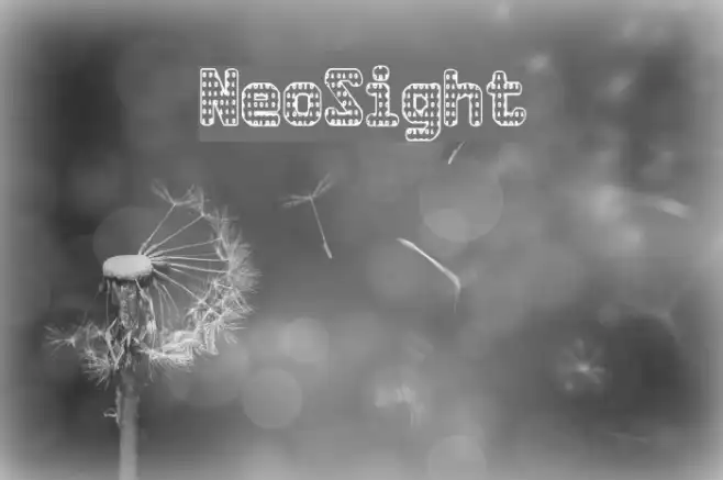 NeoSight Example 1