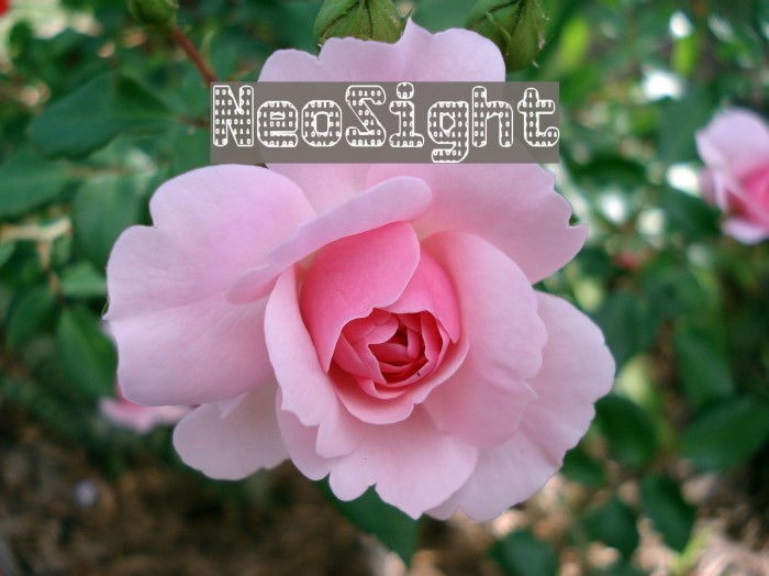 NeoSight Font examples