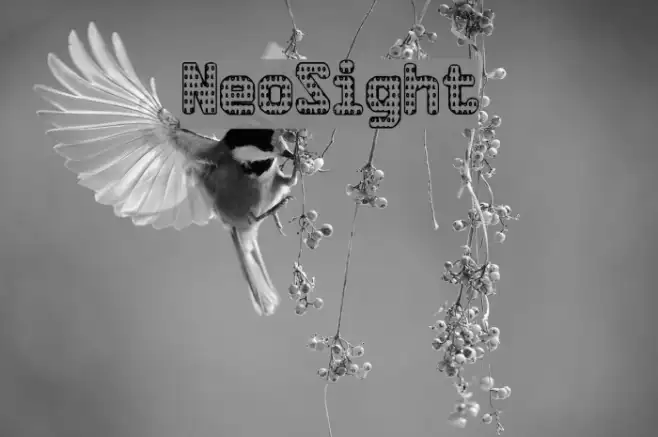 NeoSight Example 3