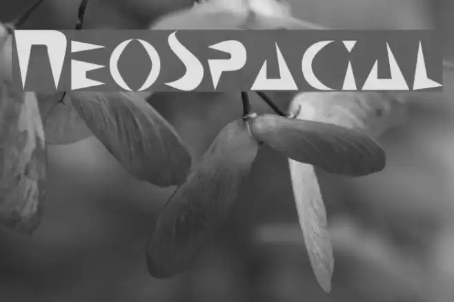 NeoSpacial Font examples