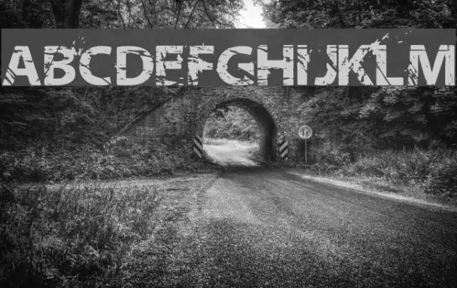 NeoTrash Bold Font examples