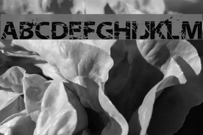 NeoTrash Bold Font examples