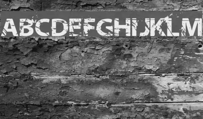 NeoTrash Bold Font examples