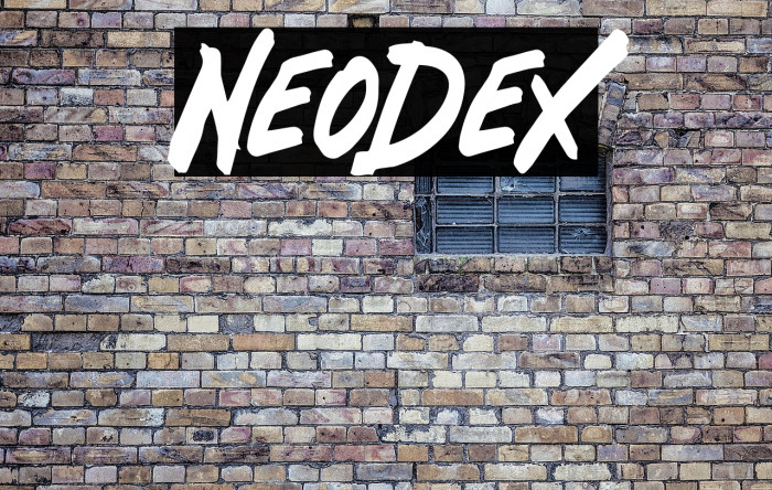 Neodex Example 1