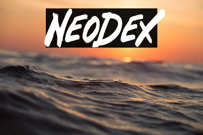 Neodex Example 3