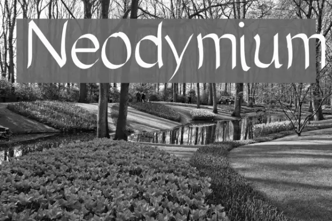 Neodymium Example 3