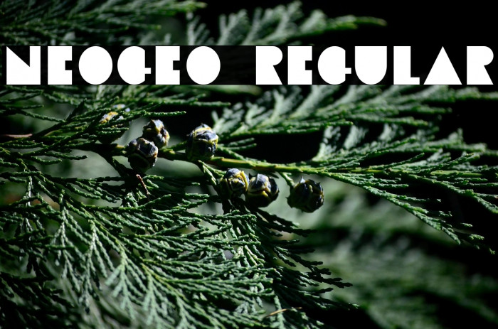 Neogeo Regular Example 1