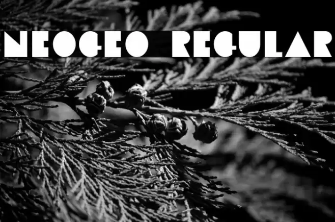 Neogeo Regular Font examples