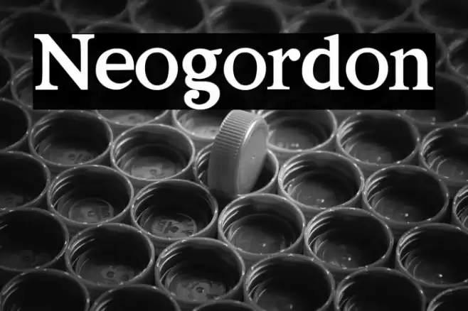 Neogordon Font examples