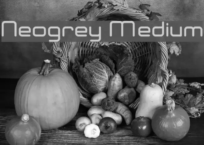 Neogrey Medium Font examples