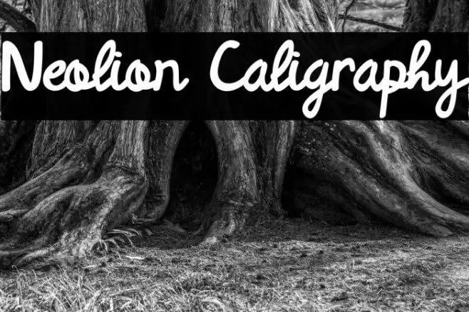 Neolion Caligraphy Font examples