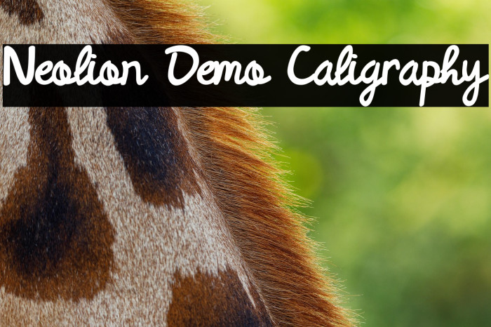 Neolion Demo Caligraphy Example 3