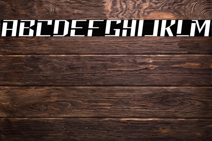 Neolion Demo Italic Example 2