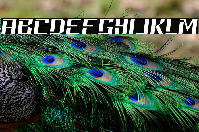 Neolion Demo Italic Example 3