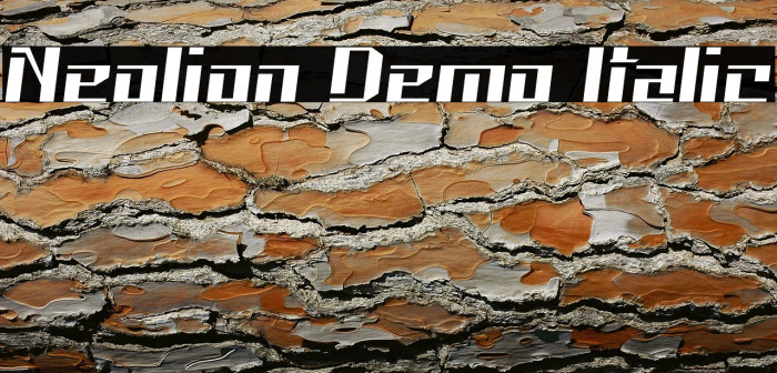 Neolion Demo Italic Example 1