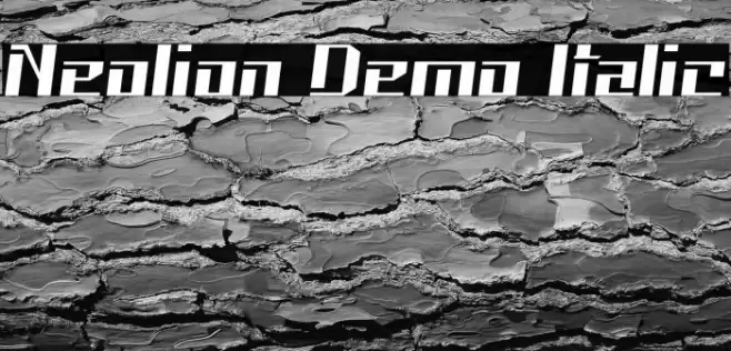 Neolion Demo Italic Font examples