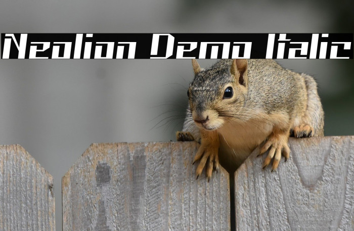 Neolion Demo Italic Example 2