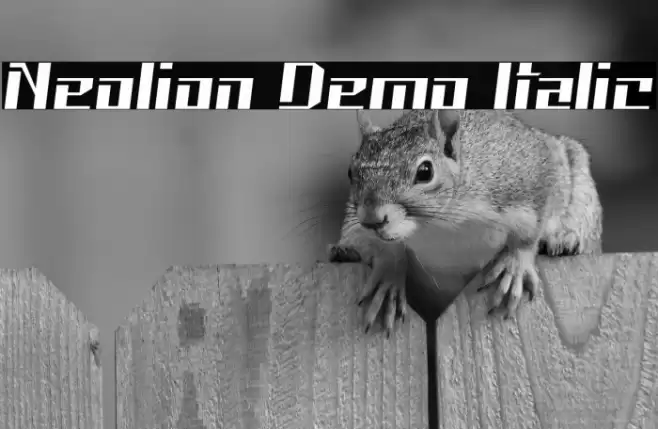 Neolion Demo Italic Font examples