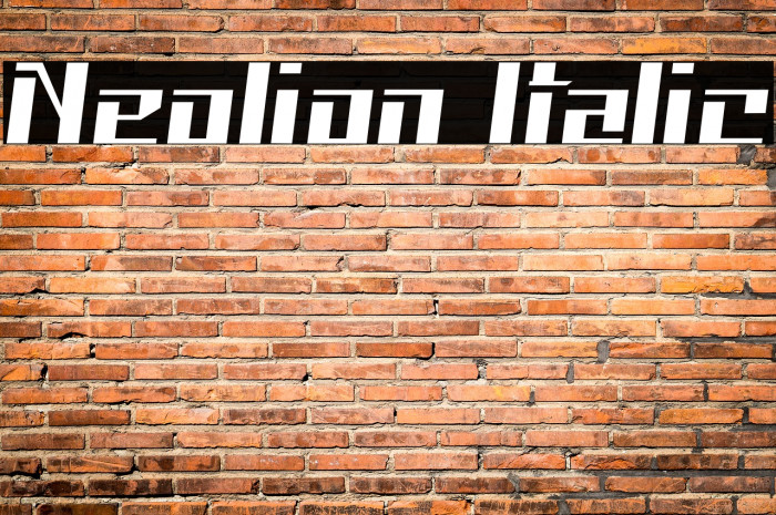 Neolion Italic Font examples