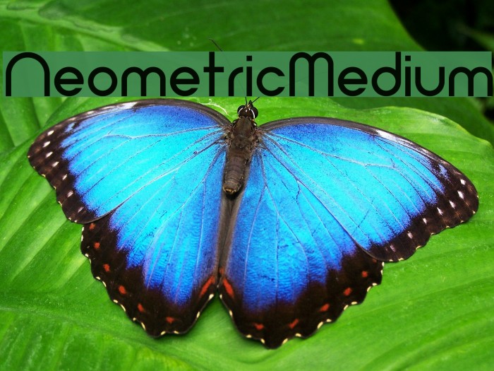 Neometric-Medium Font examples