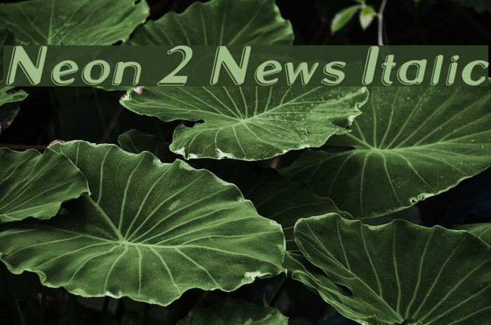 Neon 2 News Italic Font examples