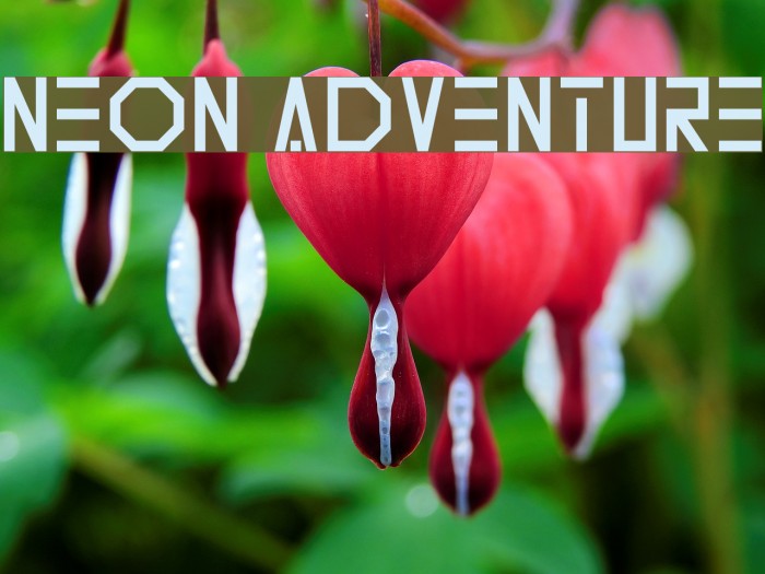 Neon Adventure Example 3