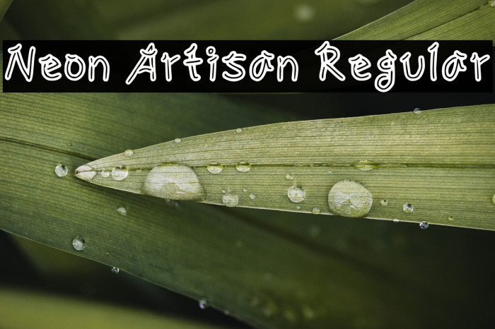 Neon Artisan Regular Example 2