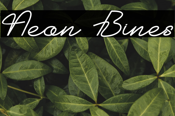 Neon Bines Example 1