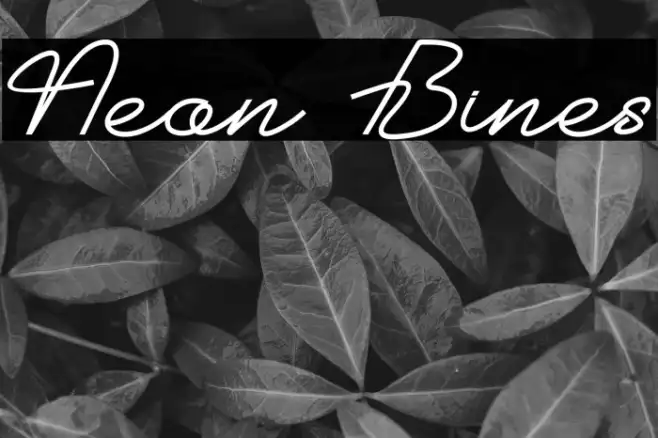 Neon Bines Example 1