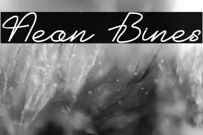 Neon Bines Example 2