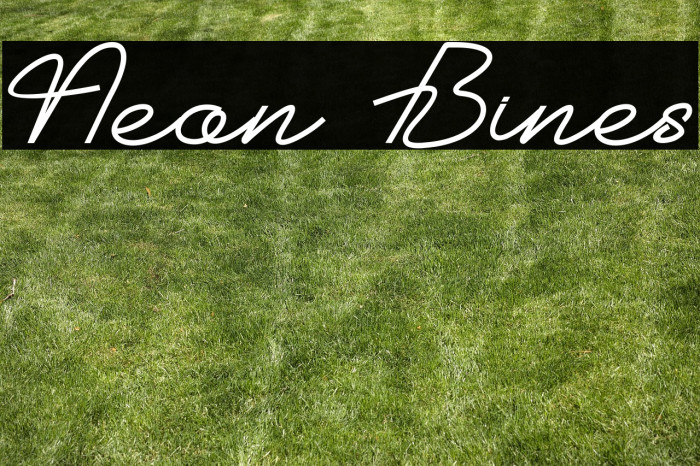 Neon Bines Example 3