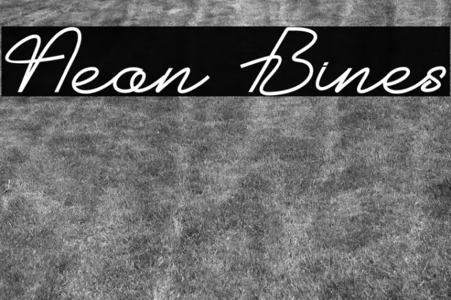 Neon Bines Example 3