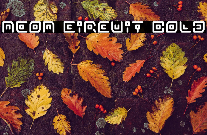 Neon Circuit Bold Example 2