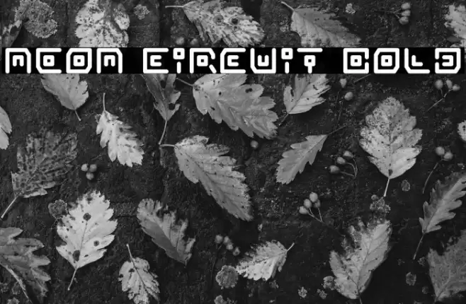 Neon Circuit Bold Font examples