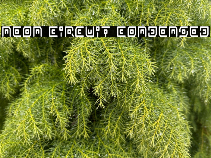 Neon Circuit Condensed Example 2