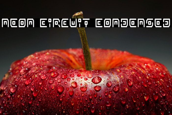 Neon Circuit Condensed Example 3