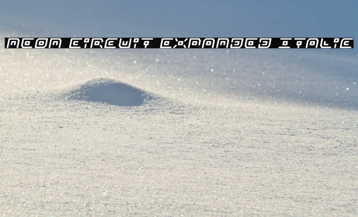 Neon Circuit Expanded Italic Example 1