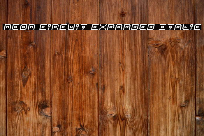 Neon Circuit Expanded Italic Example 3